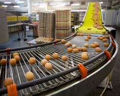 KERNTECH-研華產(chǎn)品應(yīng)用以完整的軟硬件解決方案為食品加工安全把關(guān)